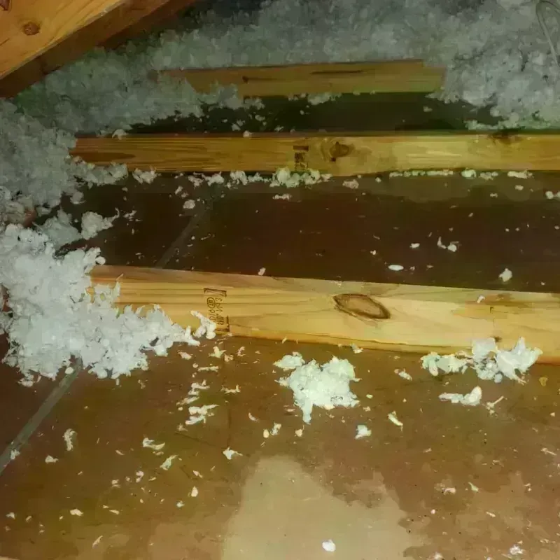 Attic Water Damage in Gulf Breeze, FL