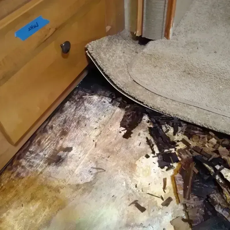 Wood Floor Water Damage in Gulf Breeze, FL